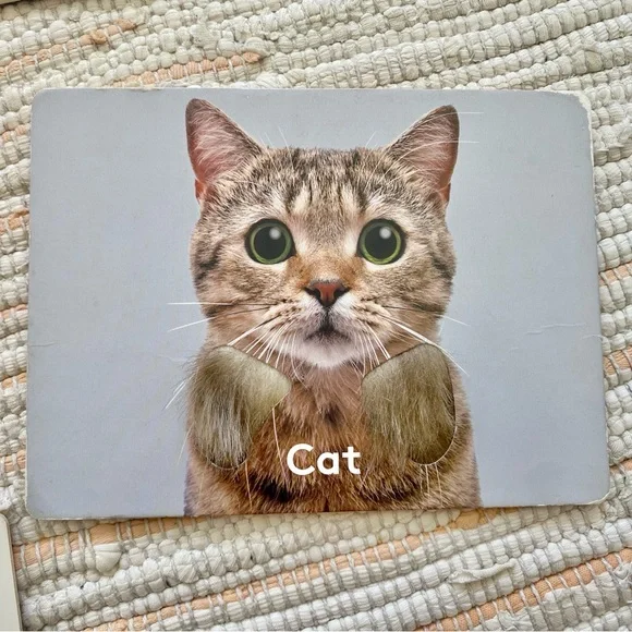 Lovevery Flash Cards -box set- - Picture 3 of 8